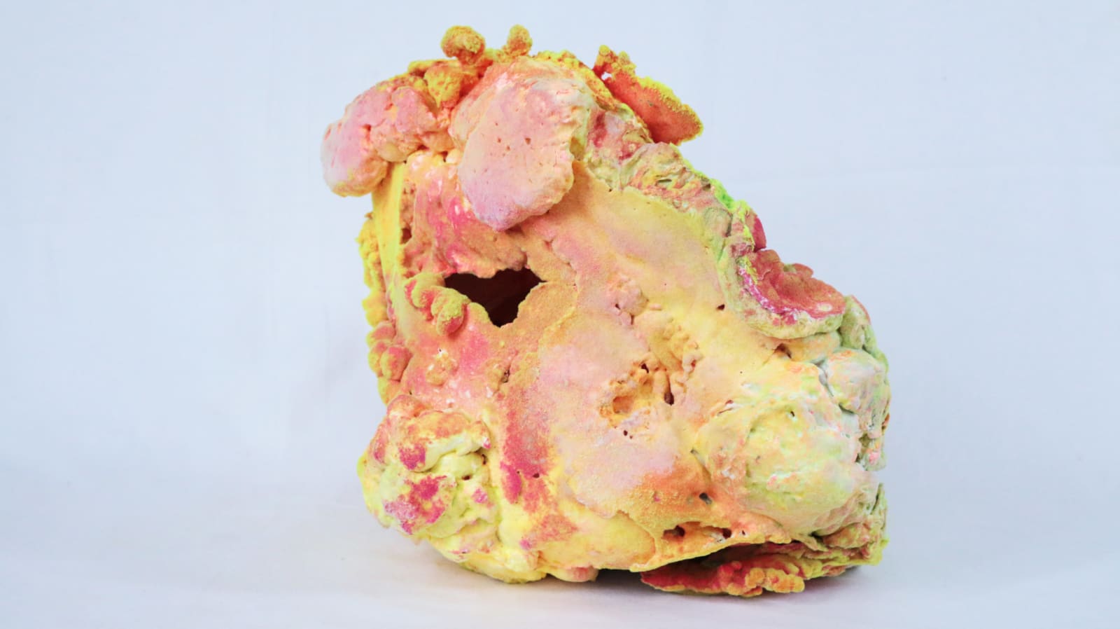 Pedro Matias, Aga Tabular Coralia