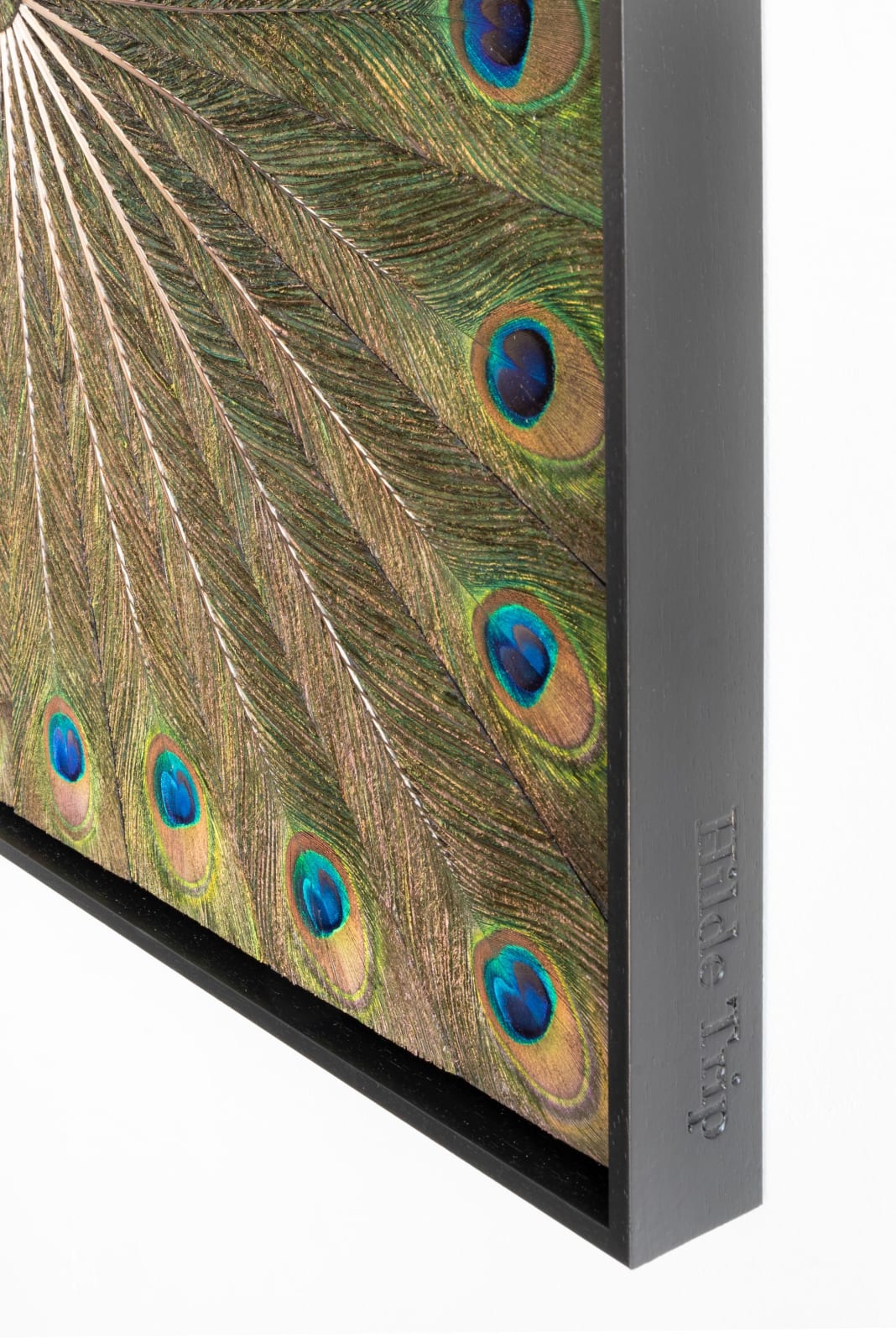 Hilde Trip, Togetherness