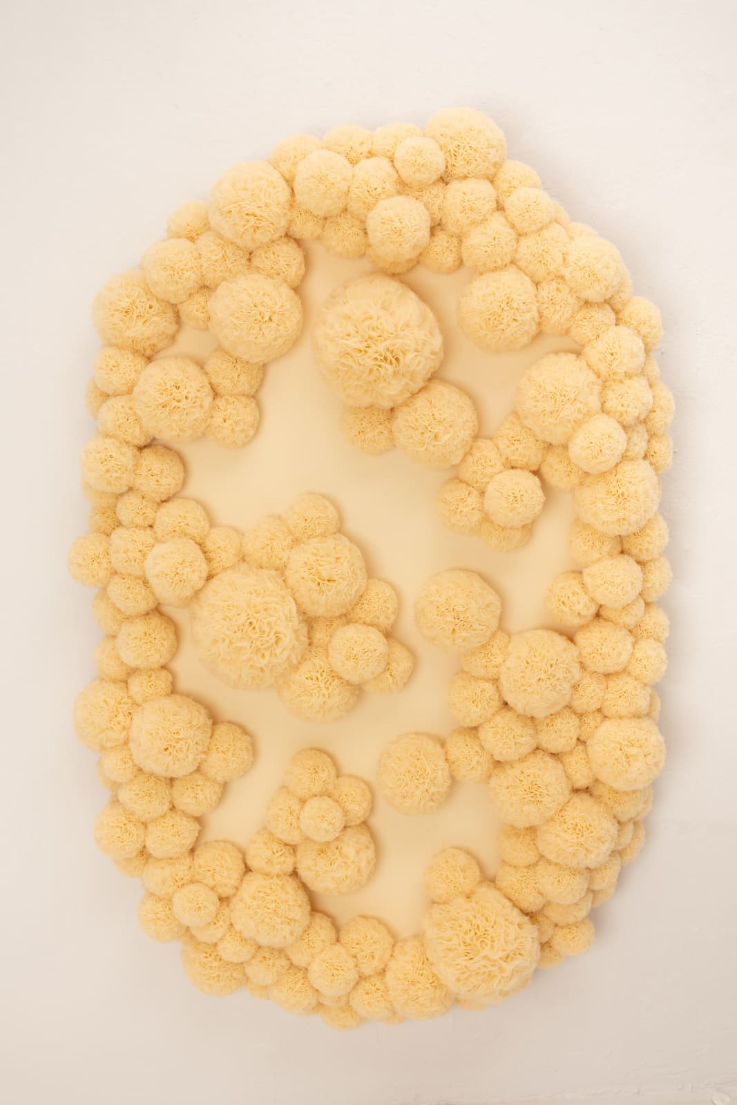 Sofie Aaldering, Sandhills