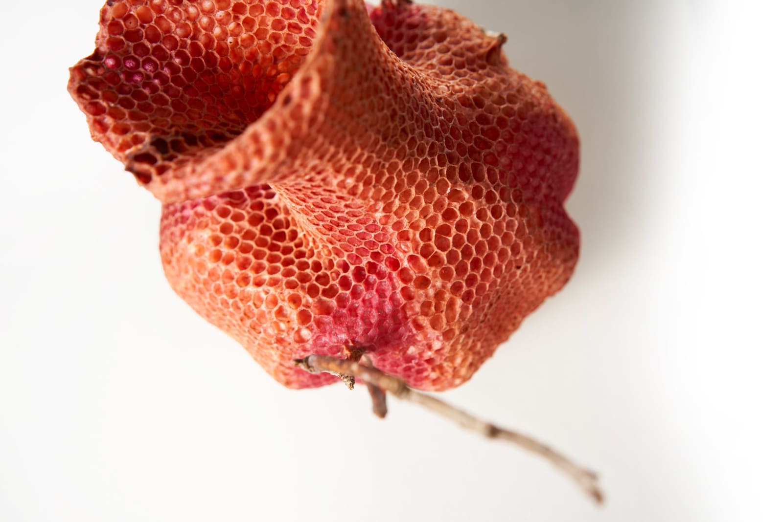 Tomáš Libertíny, The Honeycomb Vase - Red