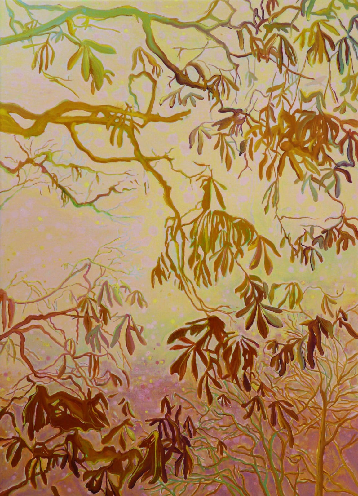 Alice Brasser, Chestnut