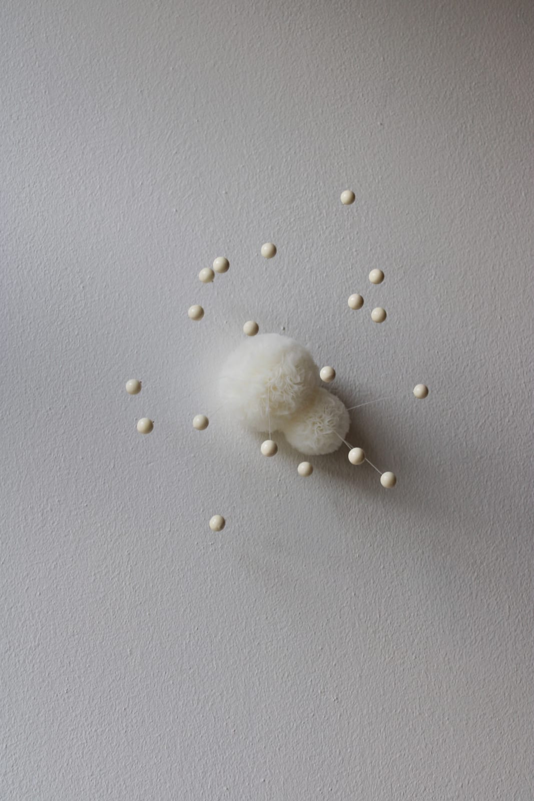 Sofie Aaldering, Ivory Twin