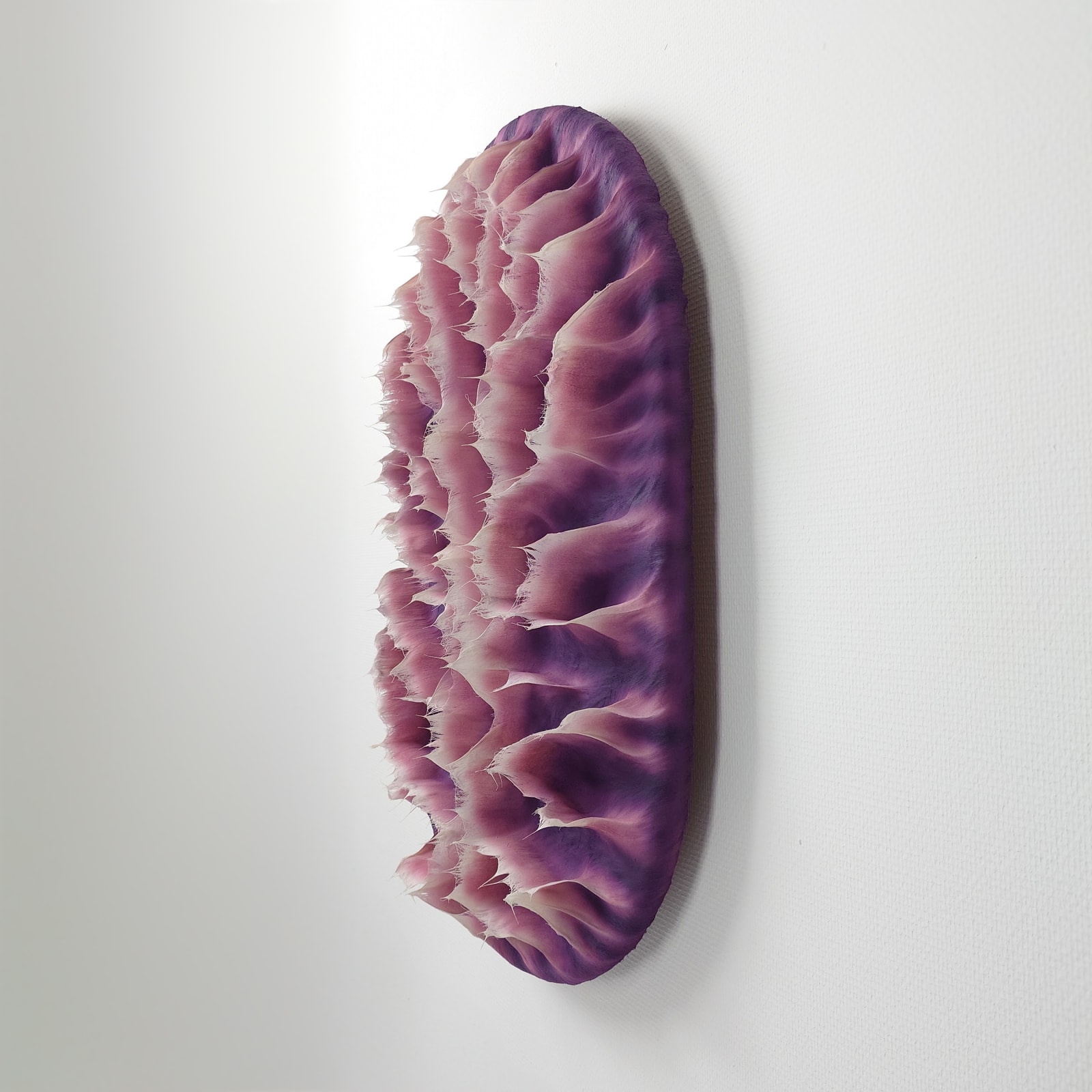 Coen Derickx, Purple and Pink number 4