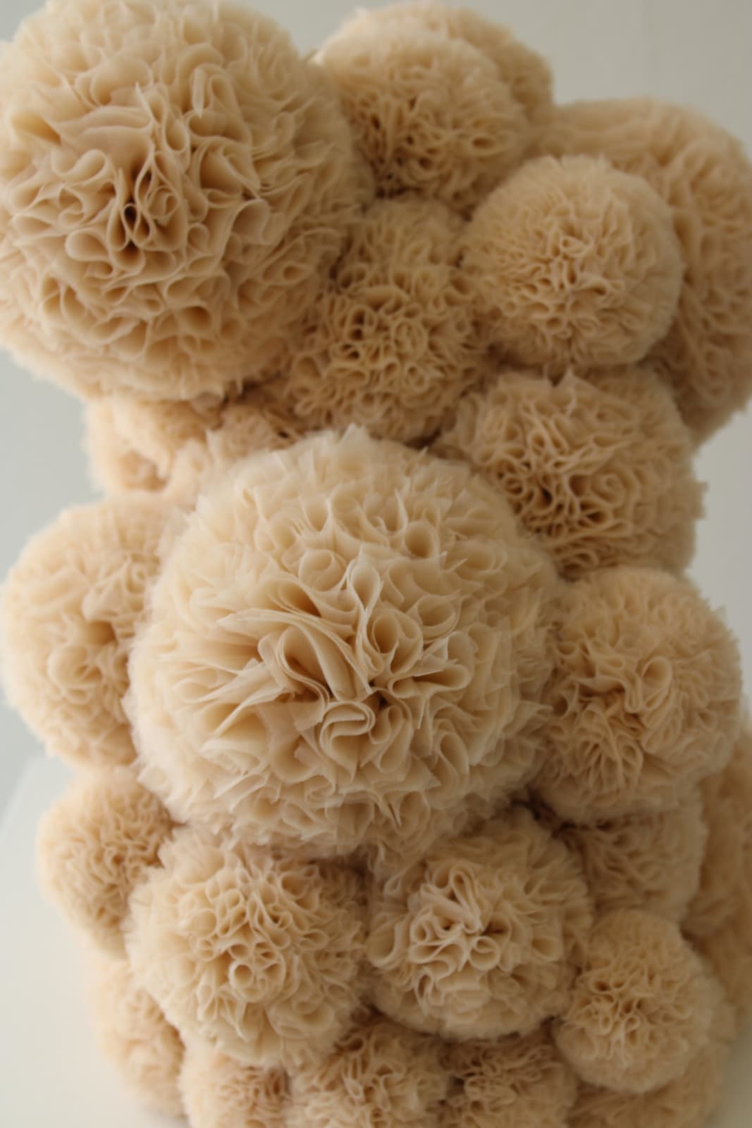 Sofie Aaldering, Montanum