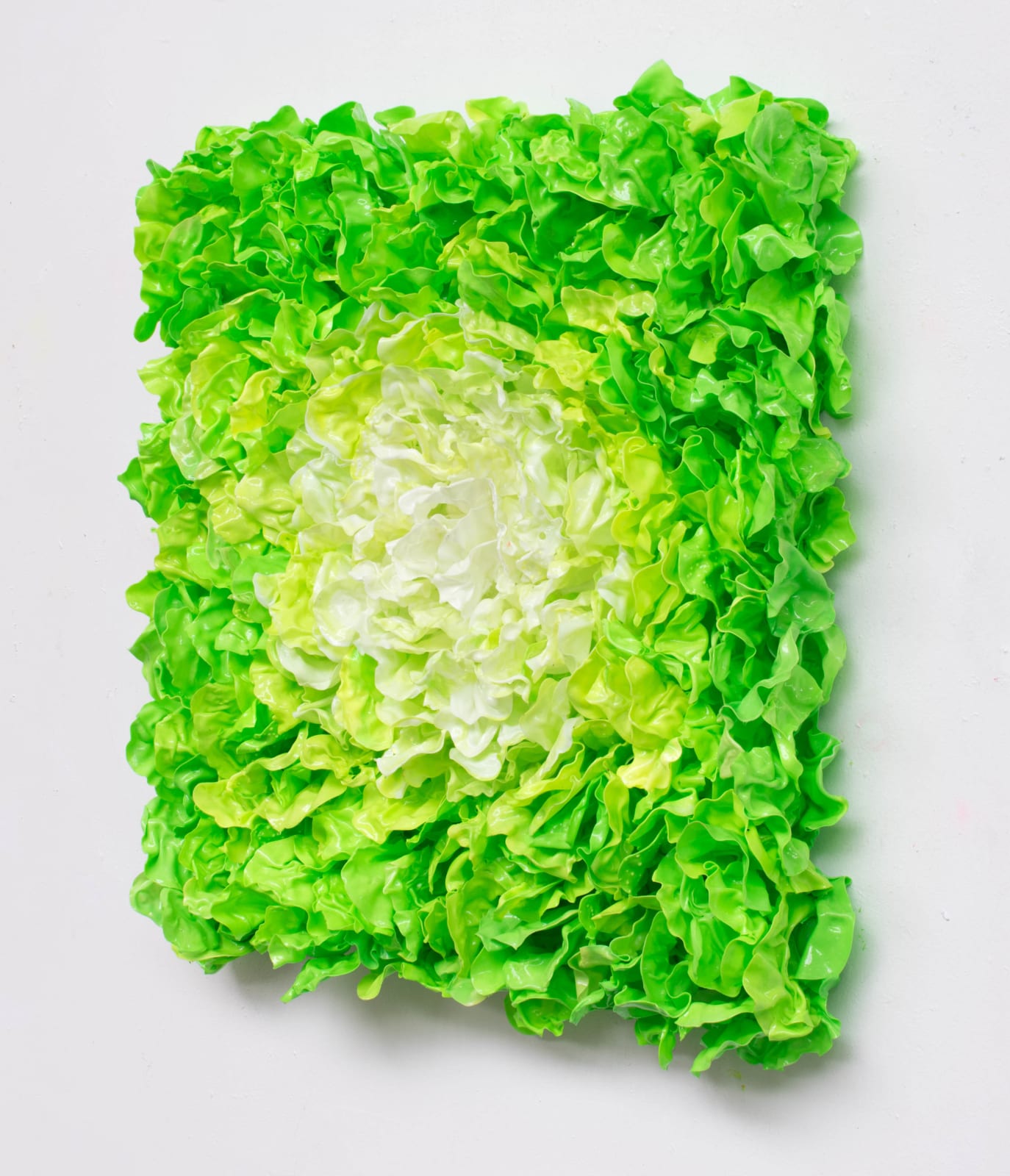 Stefan Gross, Lettuce - II