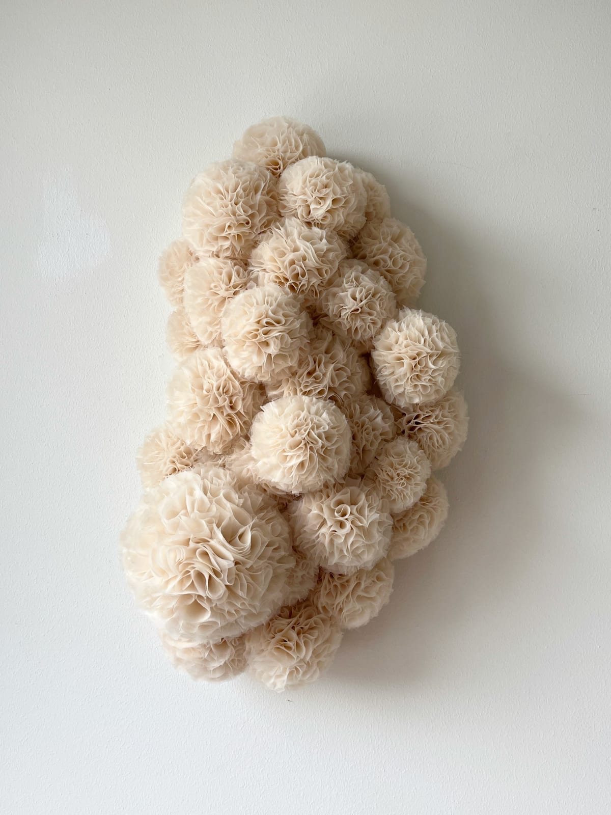 Sofie Aaldering, Nude Cloud