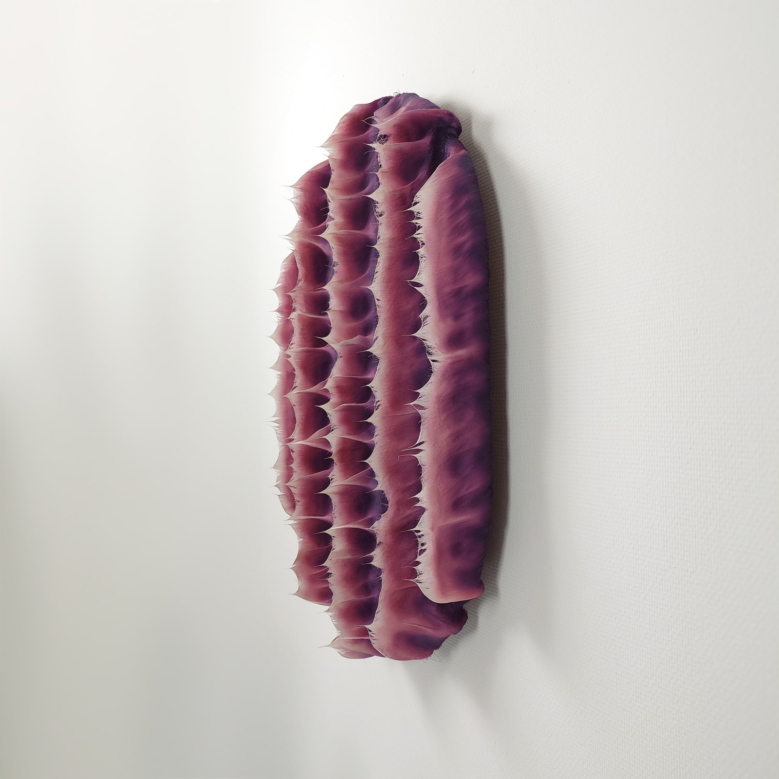 Coen Derickx, Purple and Pink number 3