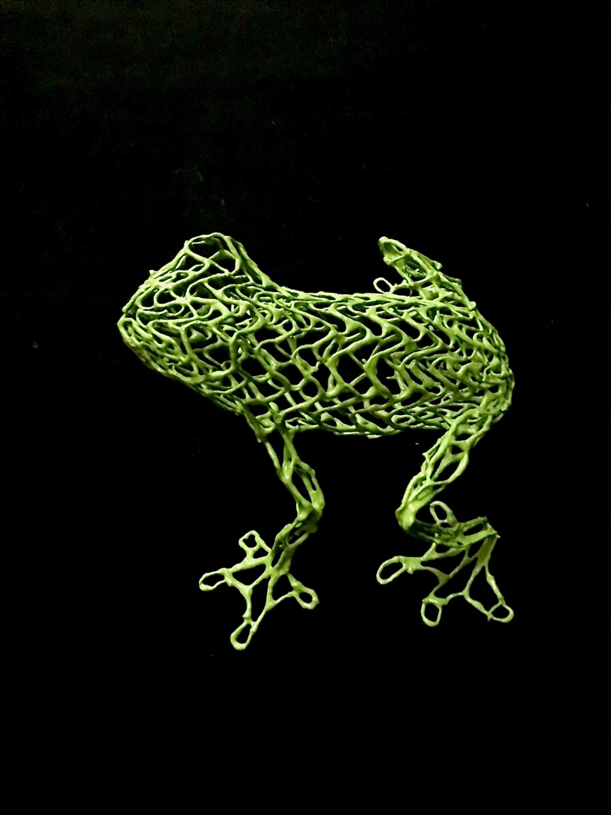 Eka Acosta, EDITIONS - Frog Green , 2021