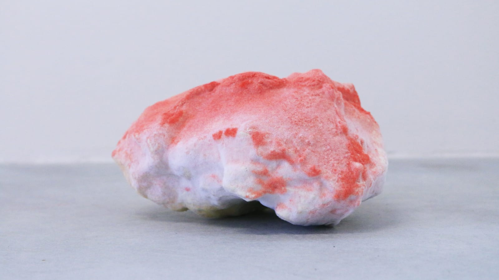 Pedro Matias, Ruby Alcyonacea Callicle I