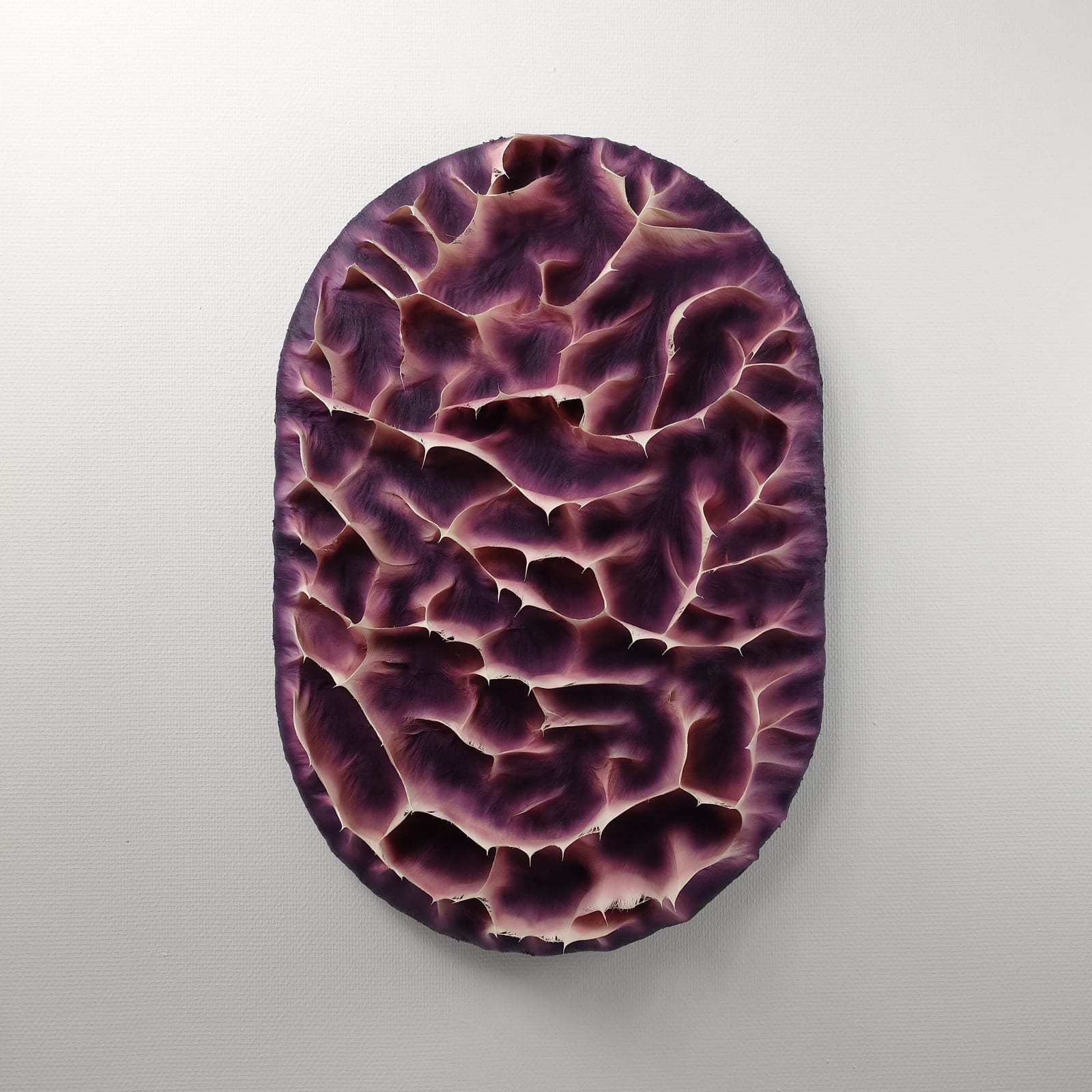 Coen Derickx, Purple and Pink number 8