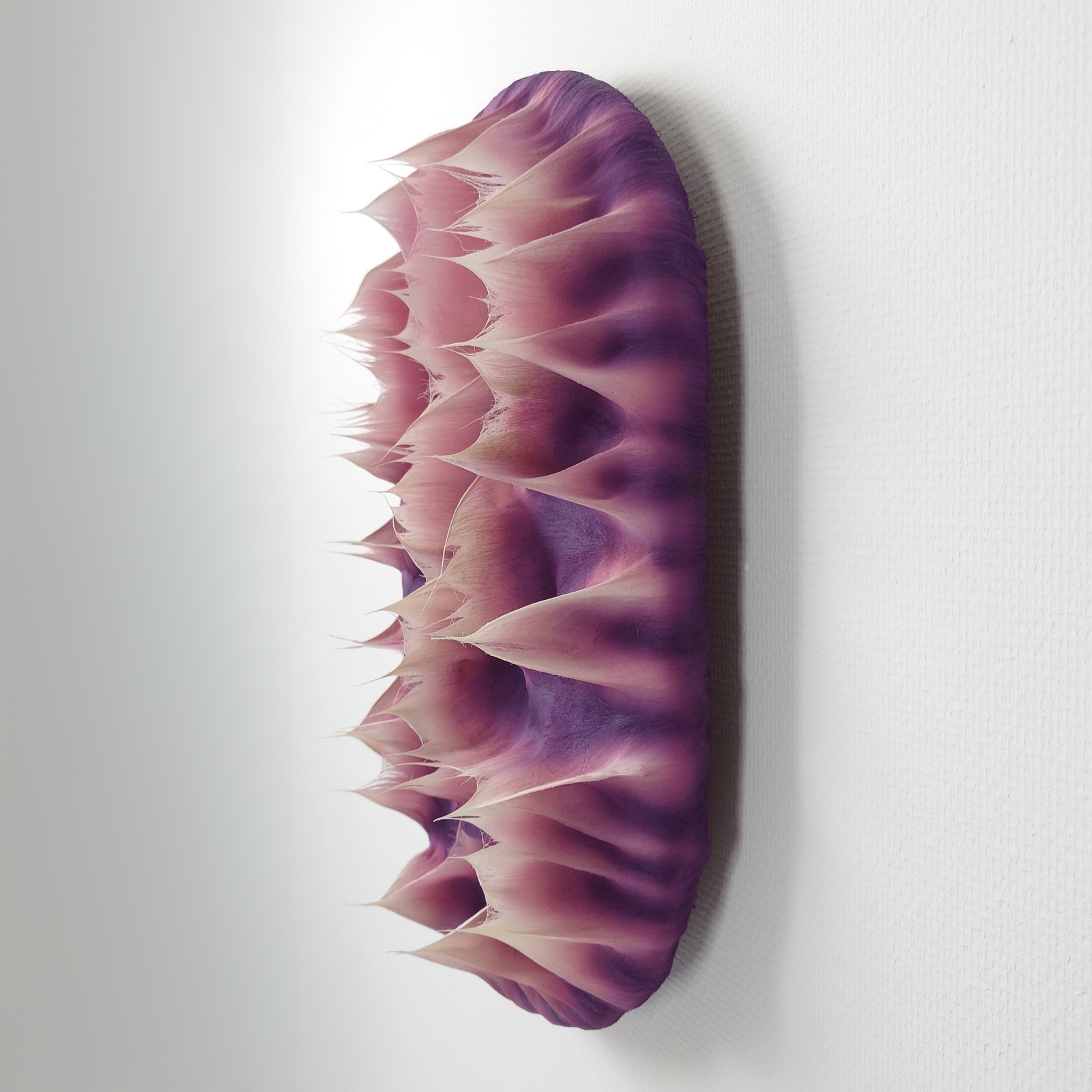 Coen Derickx, Purple and Pink number 6