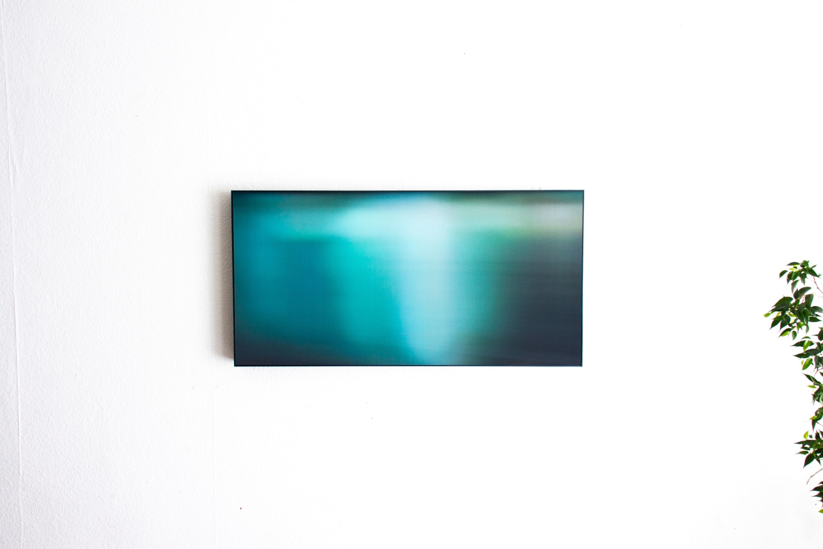 Jens Buis, Olson (Sync V)