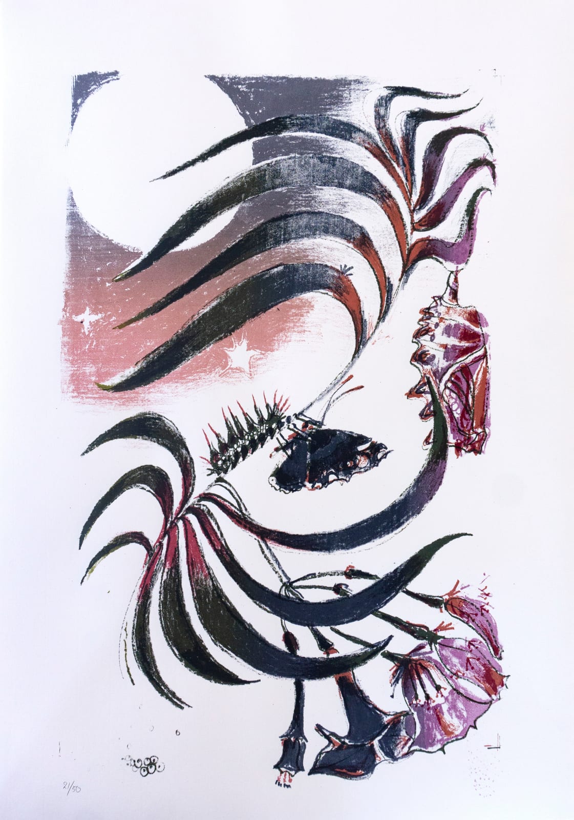 Sophie Steengracht, EDITIONS - Transfigure, 2020