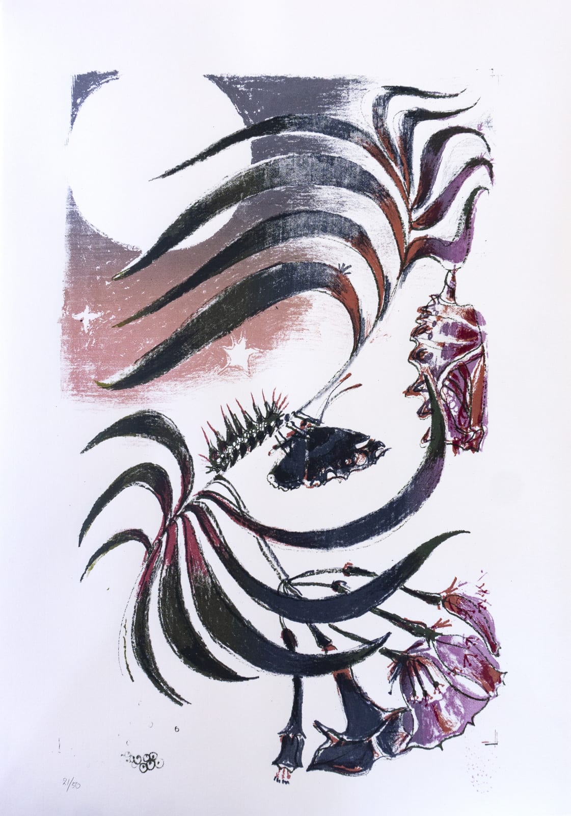 Sophie Steengracht, EDITIONS - Transfigure