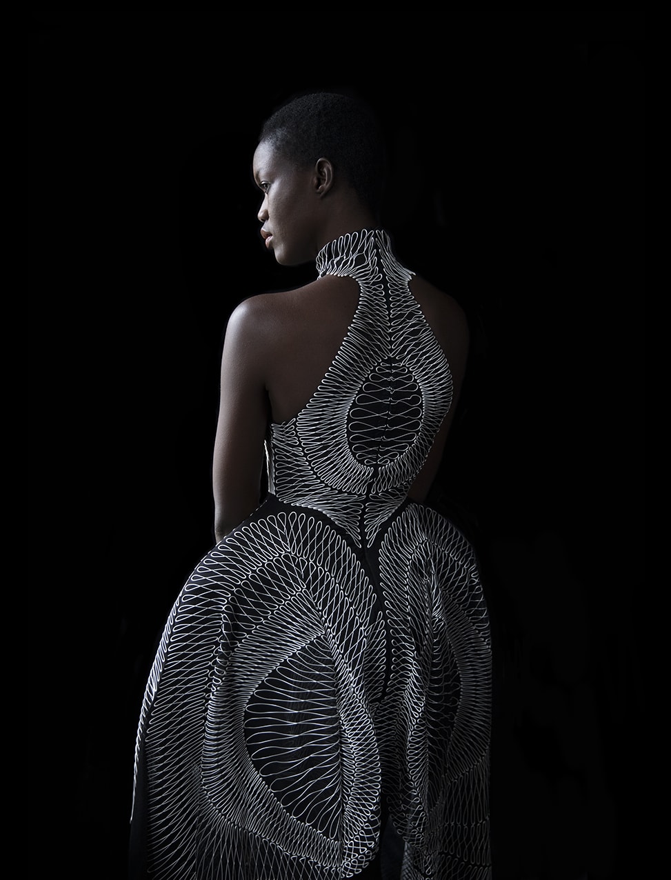 Carla van de Puttelaar, Synergia Serie - XIII