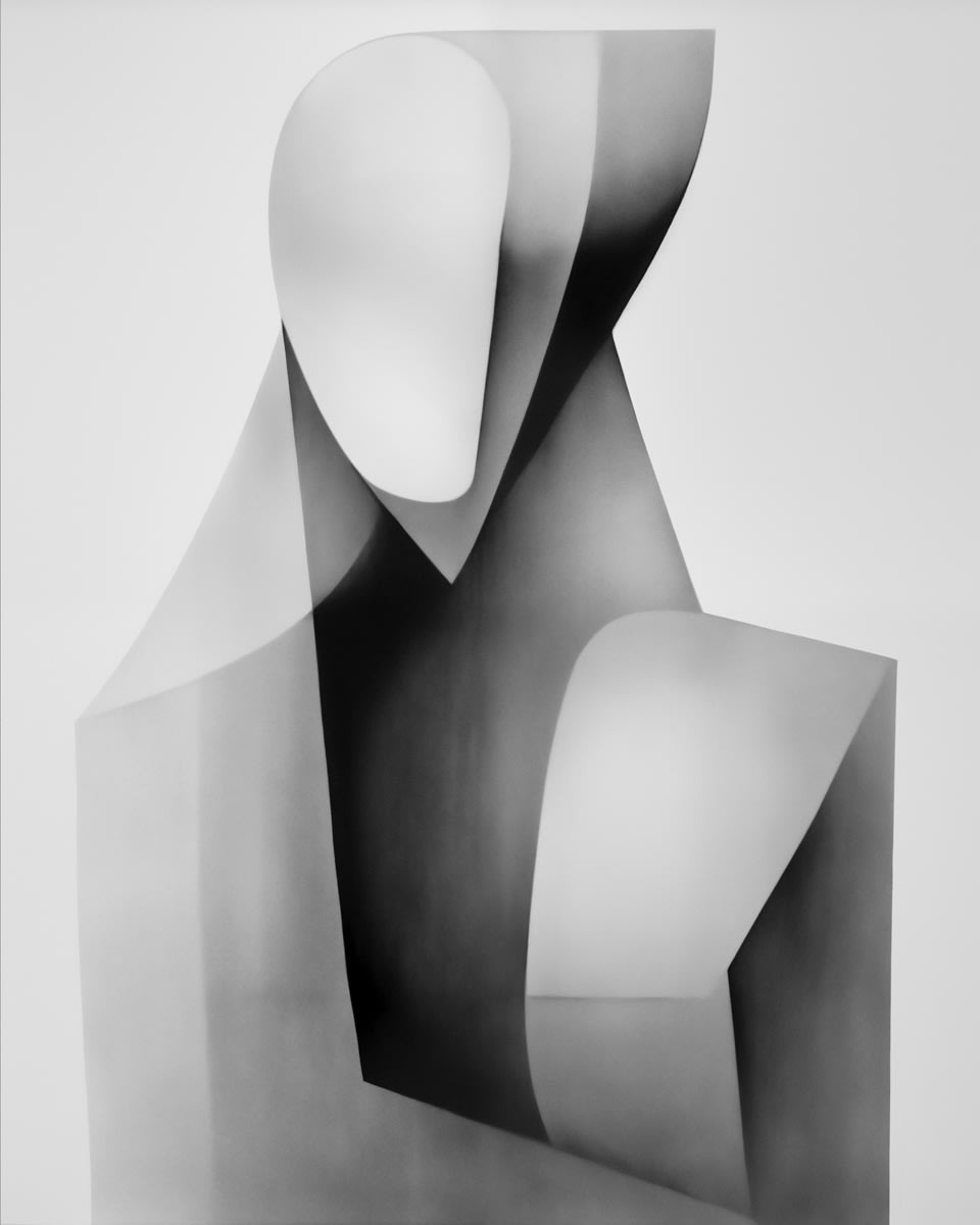 Nancy Poeran, The Other Self IV