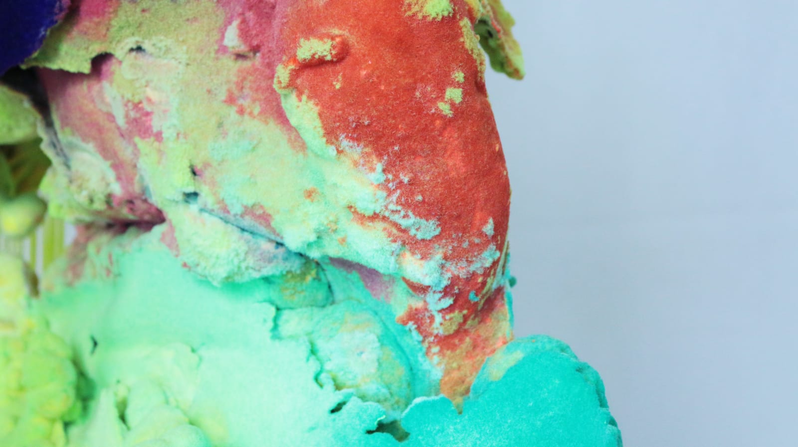 Pedro Matias, Montipora digitata Coralia