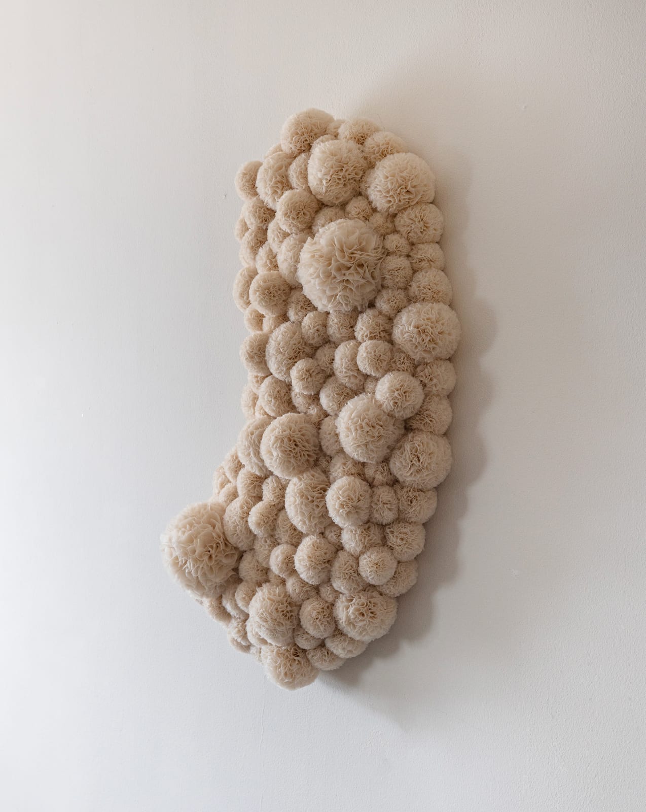 Sofie Aaldering, Soft
