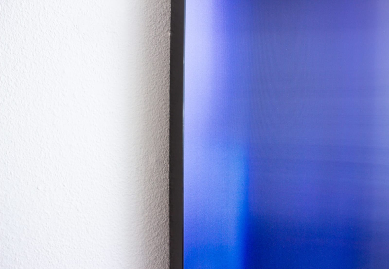Jens Buis, Celluloid forest