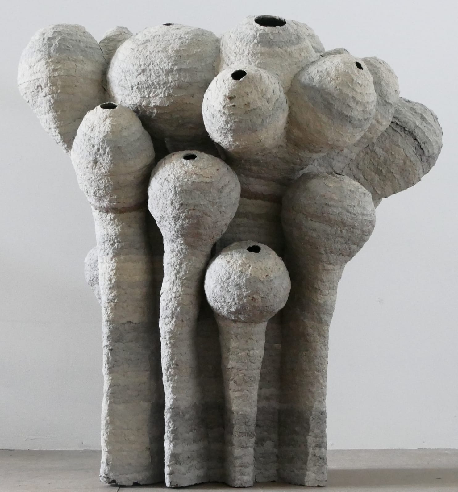 Frits Achten, Polyps