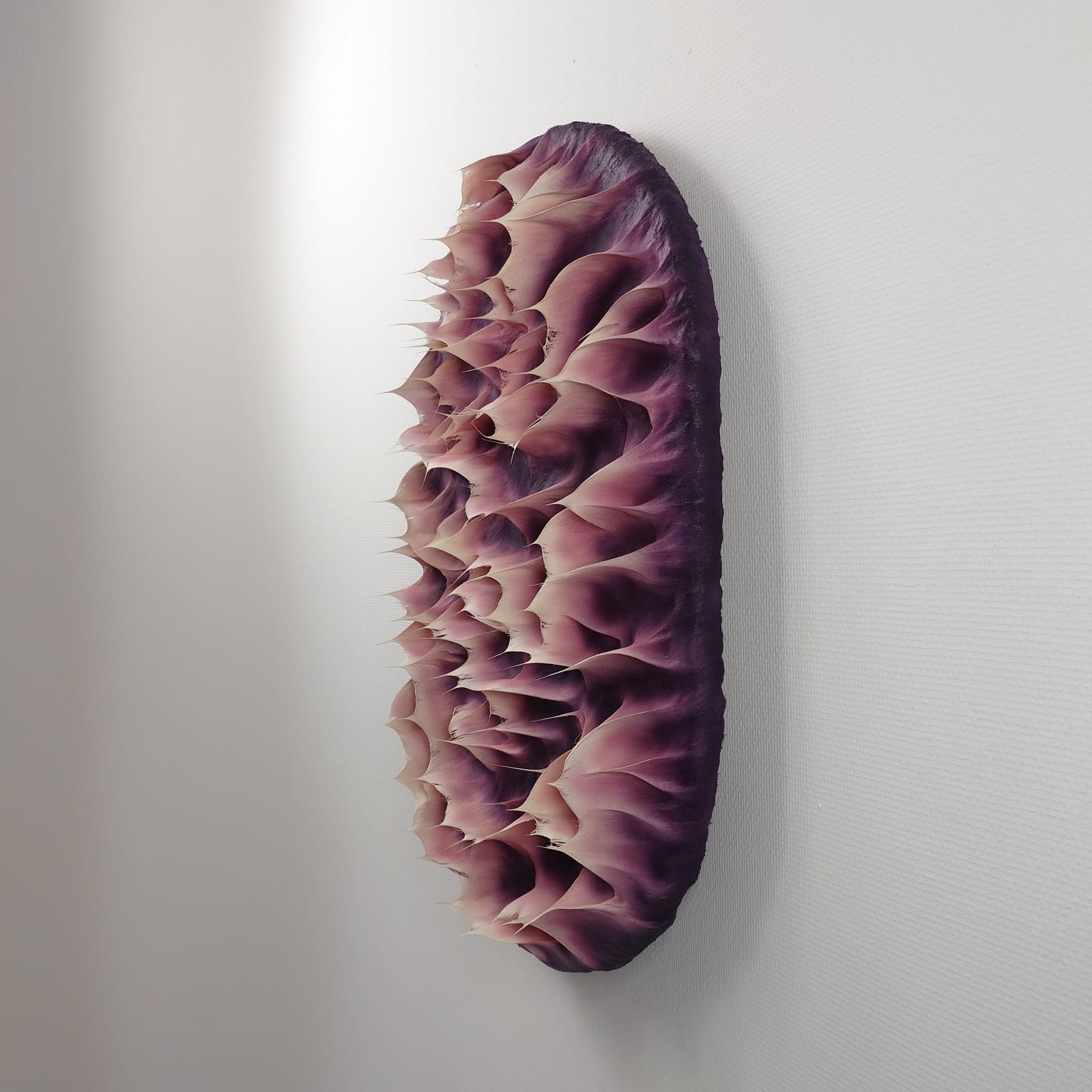 Coen Derickx, Purple and Pink number 8