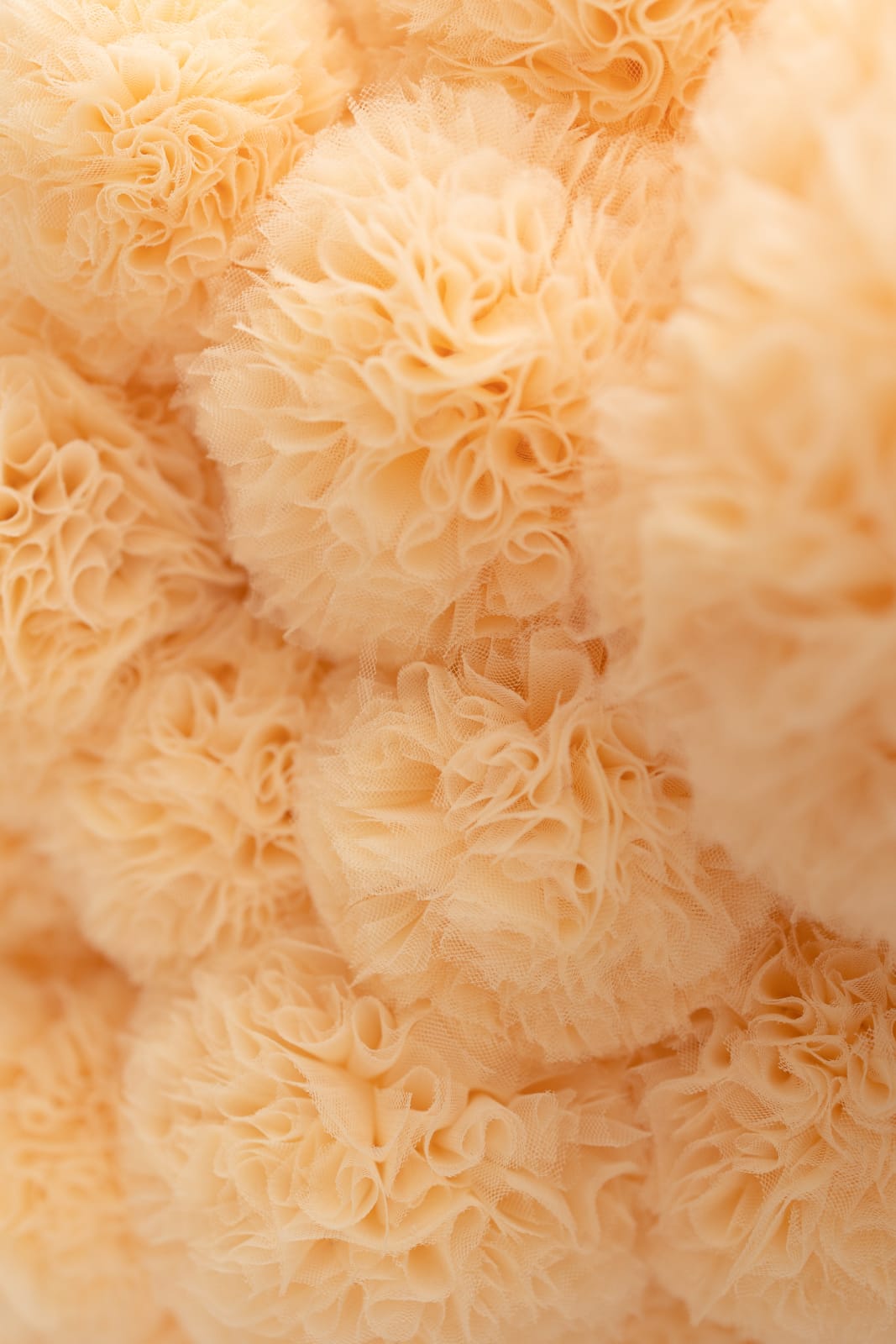 Sofie Aaldering, Mass