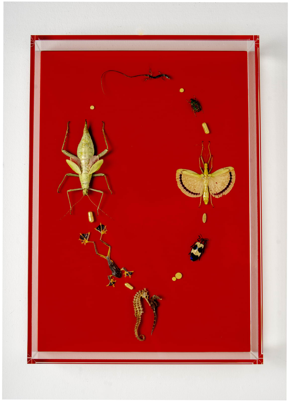 Ted Noten, I love necklaces