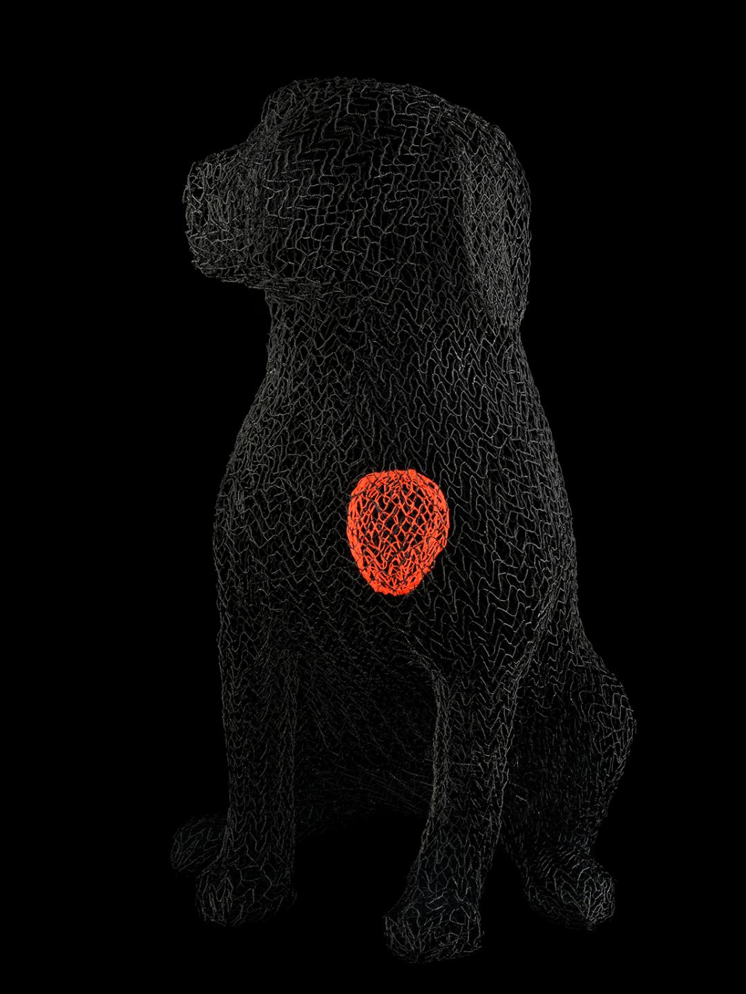 Eka Acosta, Black Puppy