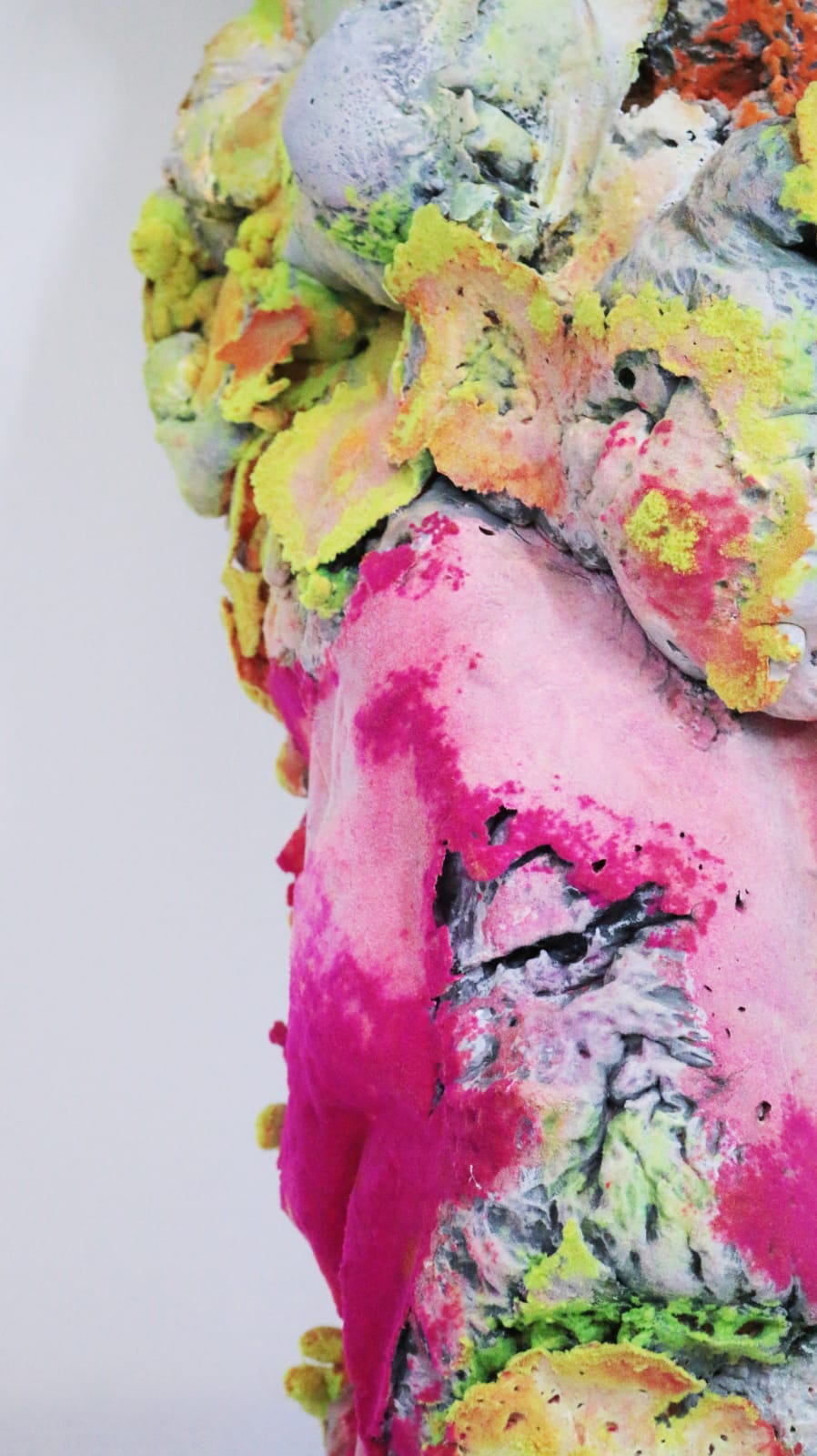 Pedro Matias, Montastrea Coralia