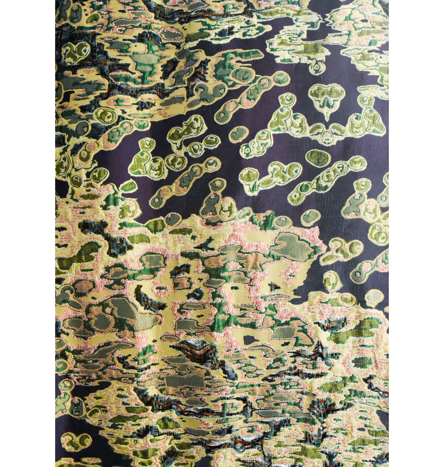 Sina Dyks, Swimming Cells