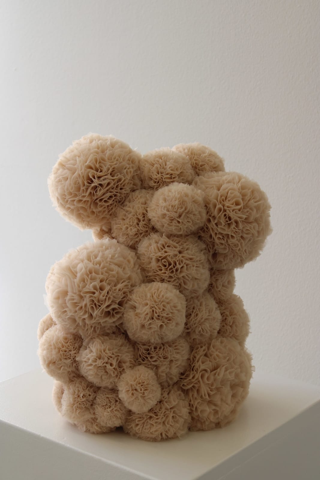 Sofie Aaldering, Montanum