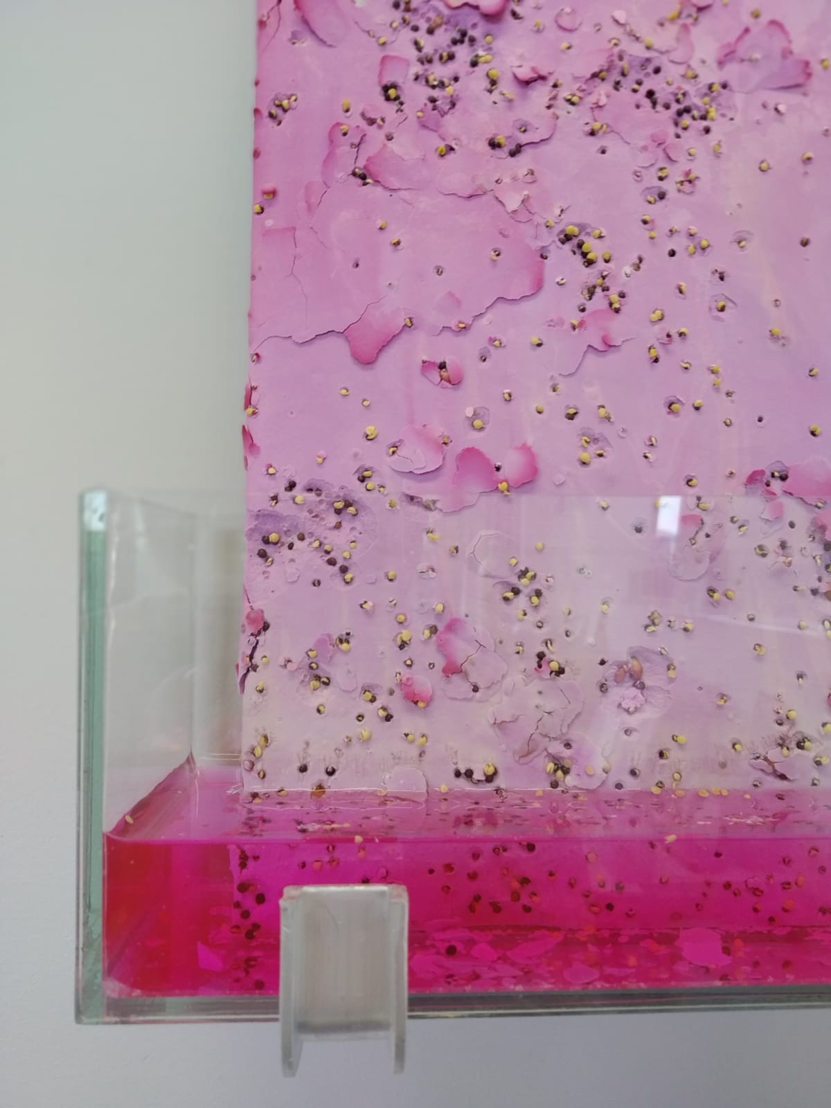 Esther Hoogendijk, Two kinds of pink + green