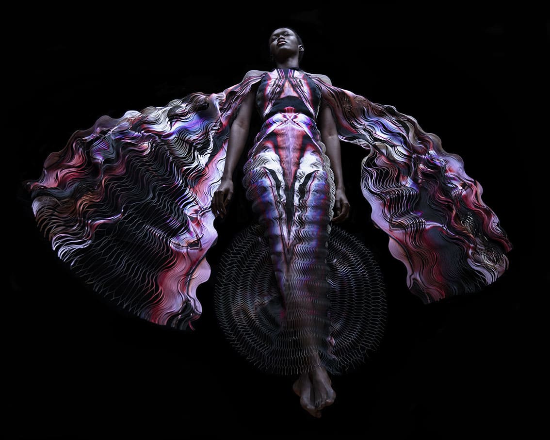 Carla van de Puttelaar, Synergia Serie - XII