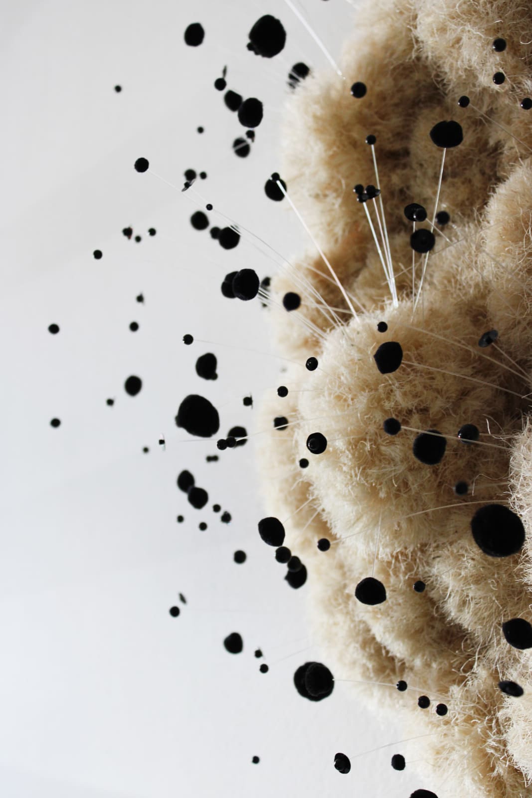 Sofie Aaldering, Sisal Touche