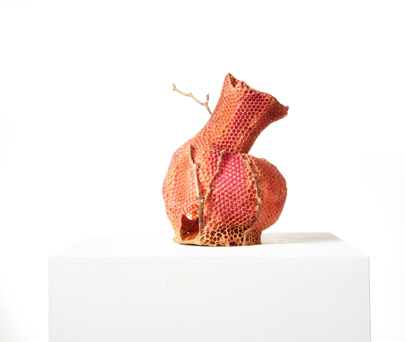 Tomáš Libertíny, The Honeycomb Vase - Red