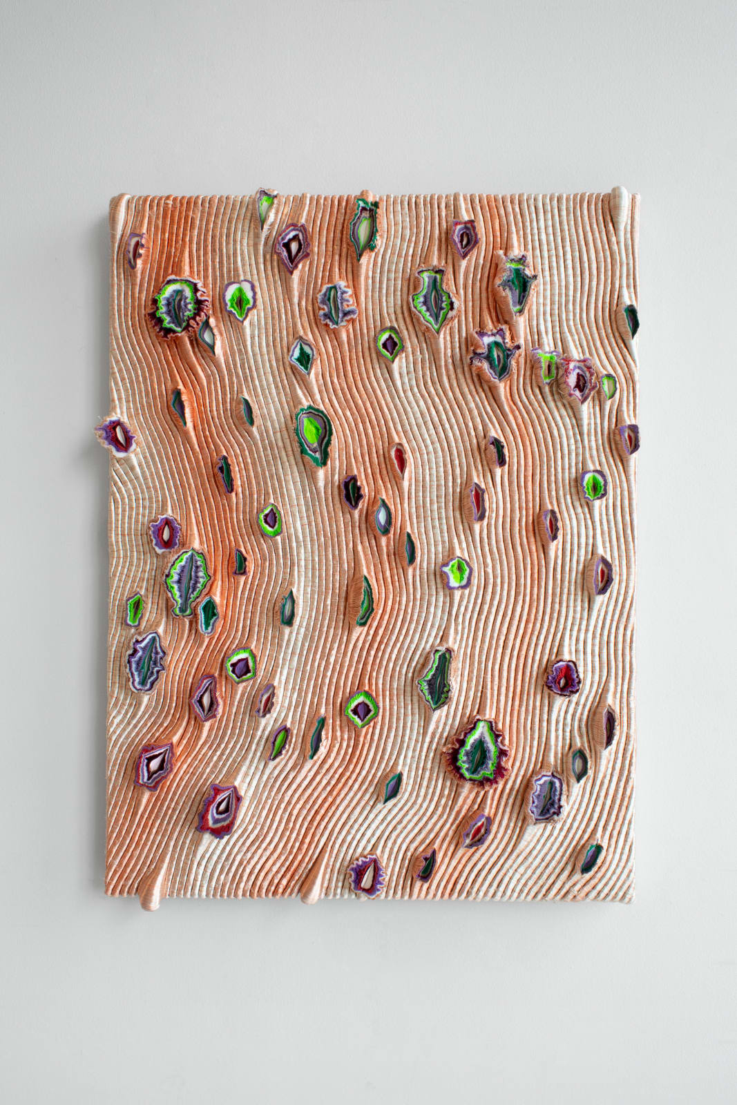 Joana Schneider, Paradise bird