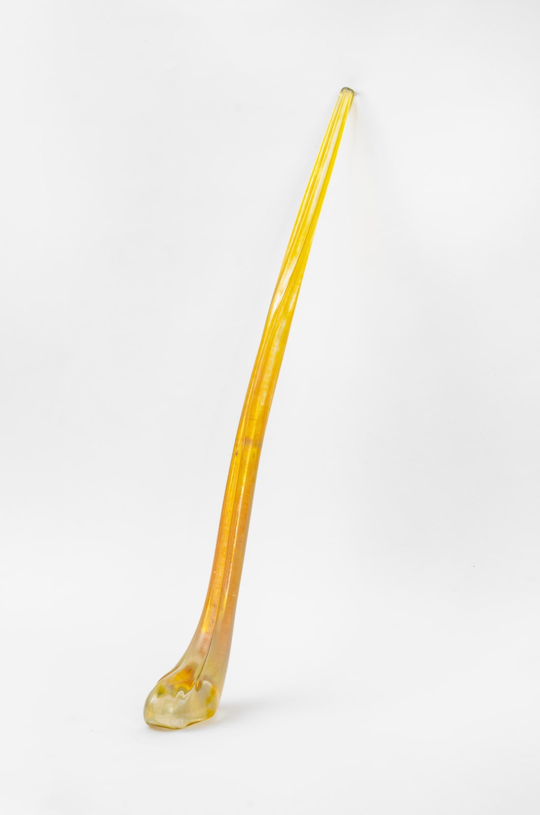 Sanié Bokhari in collaboration with Ayla Bokhari, Walking the Pulse, 2025