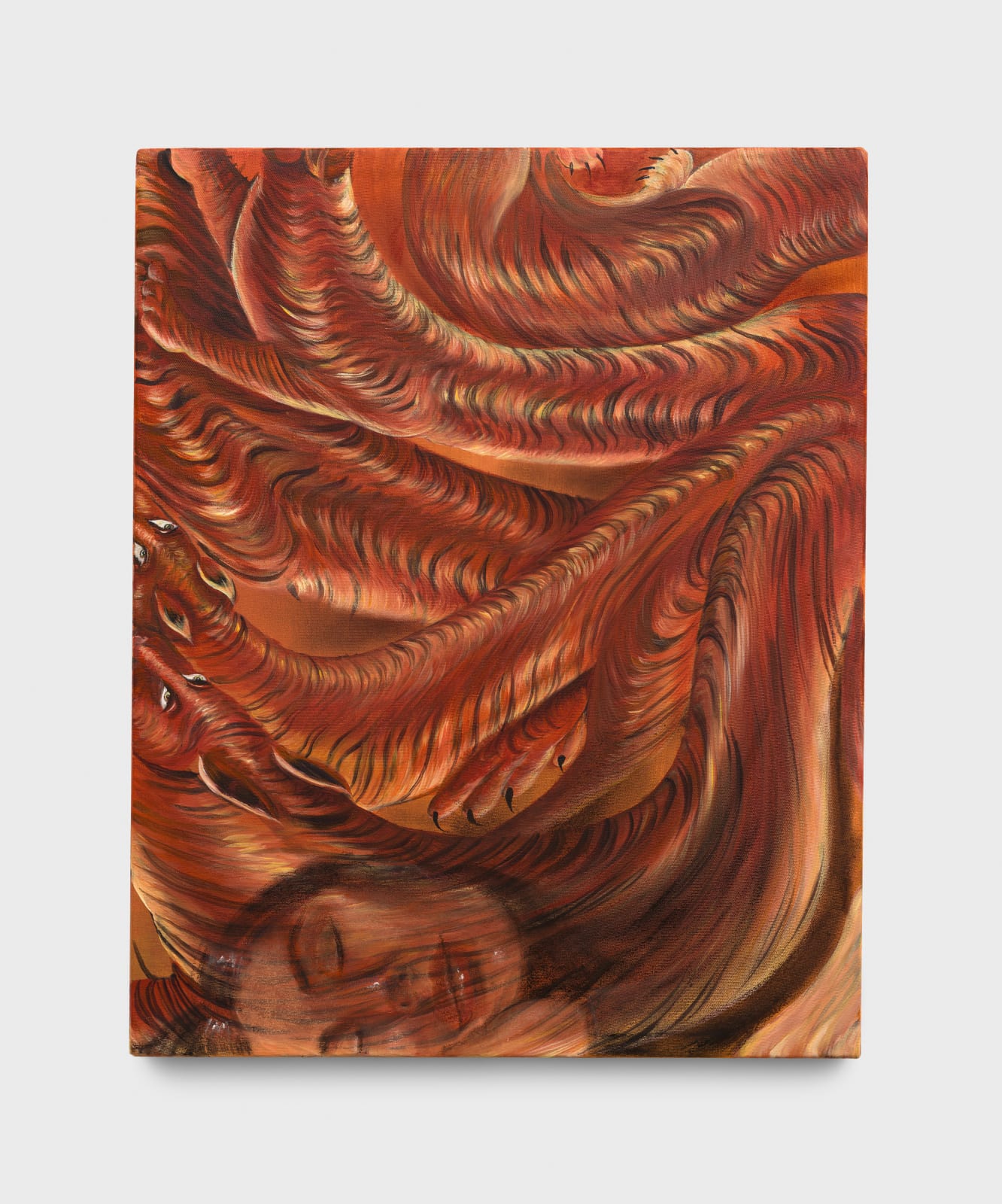 Sanié Bokhari, Sleep Regression, 2025