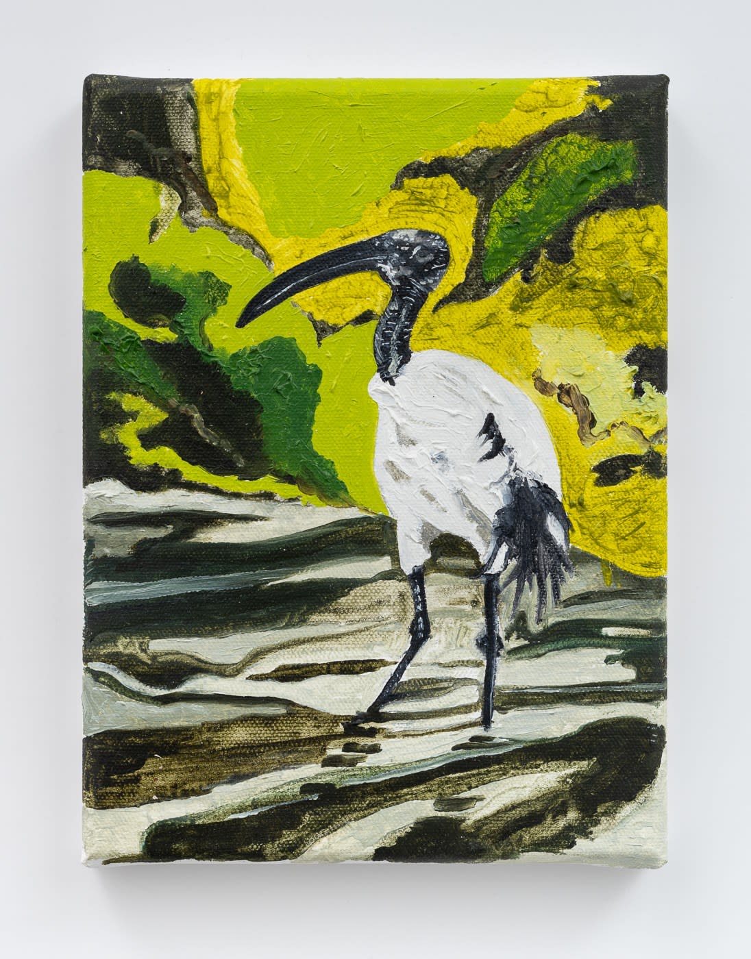 Adham Faramawy, Ibis i, 2023