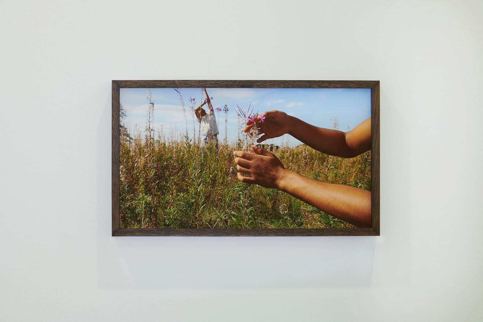 Adham Faramawy, The air is subtle various and sweet (fireweed), 2022