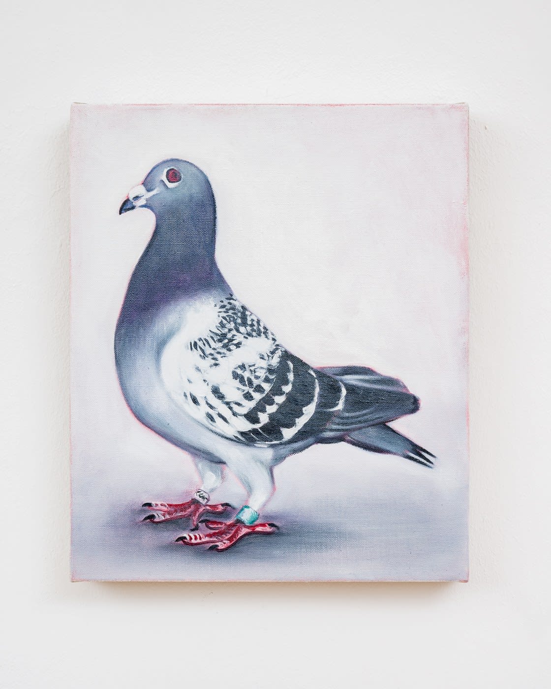 Lydia Blakeley, Prize Winning Pigeon 2, 2022