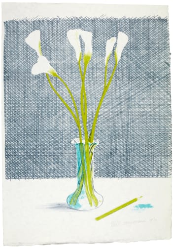 David Hockney, Lilies, 1971