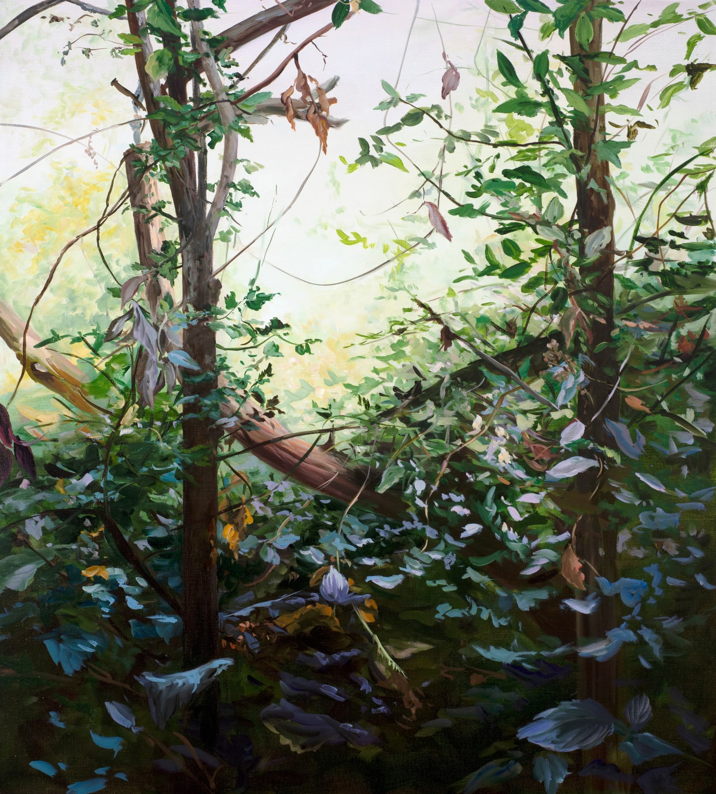 Hannah Brown, The Space by James Lane 8, 2024