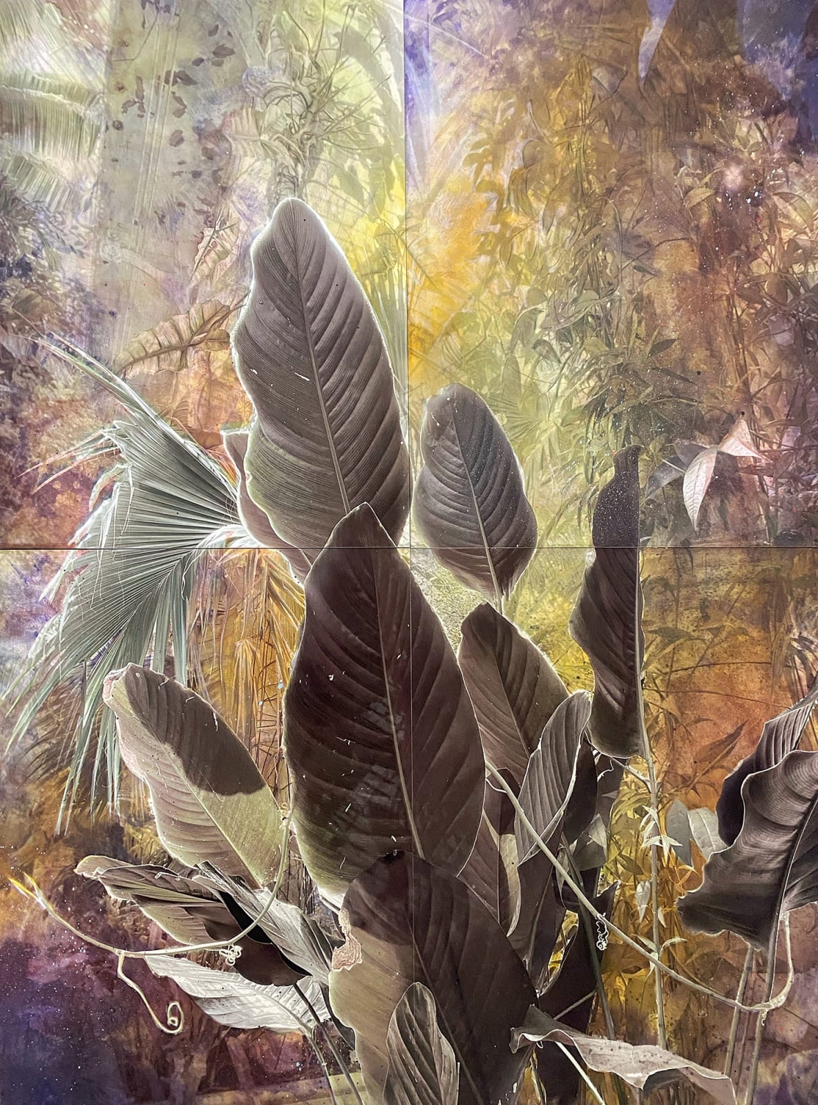 Kristina Chan, Jardin des Plantes 1