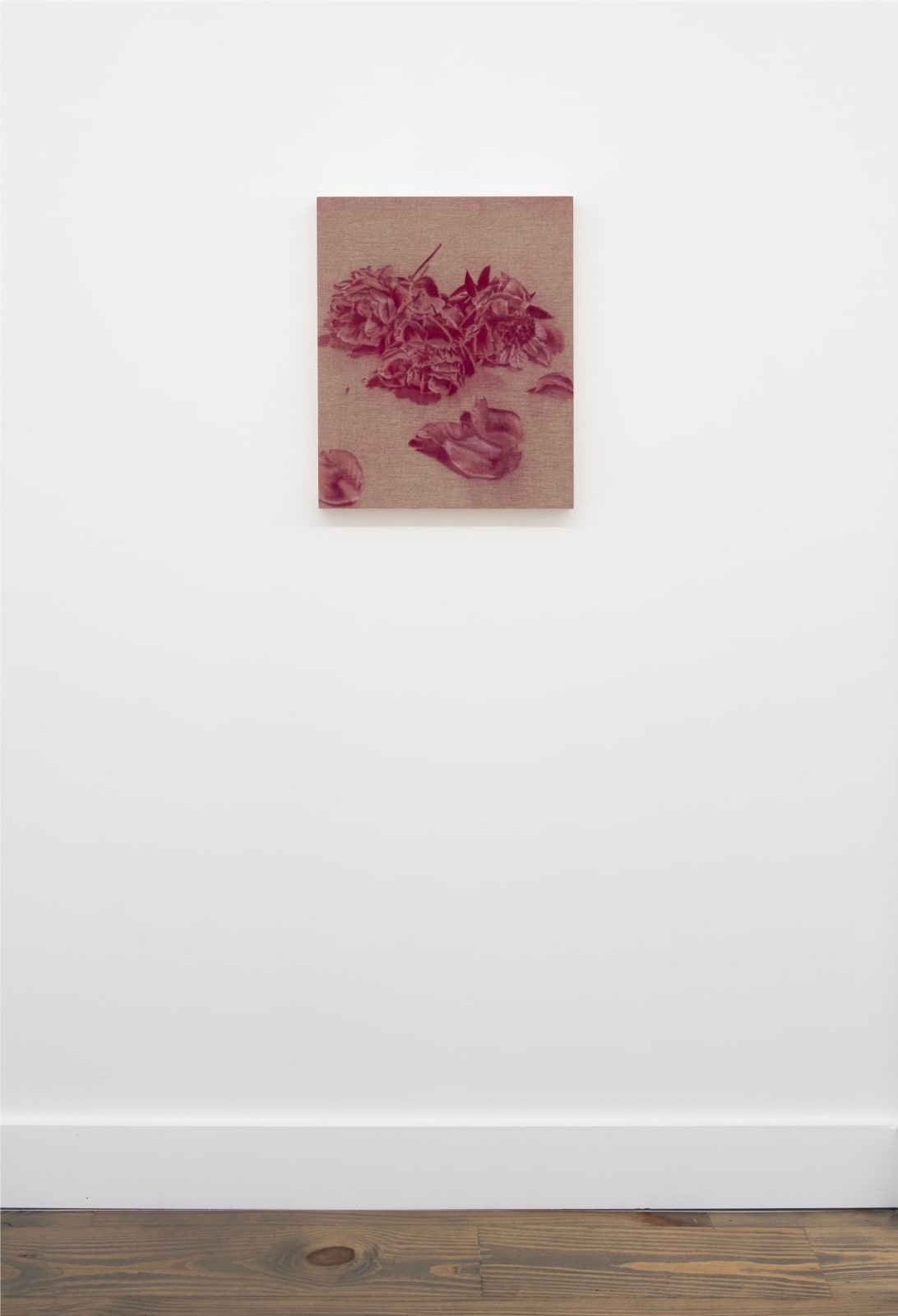 Andy Mister, Three Peonies, 2024