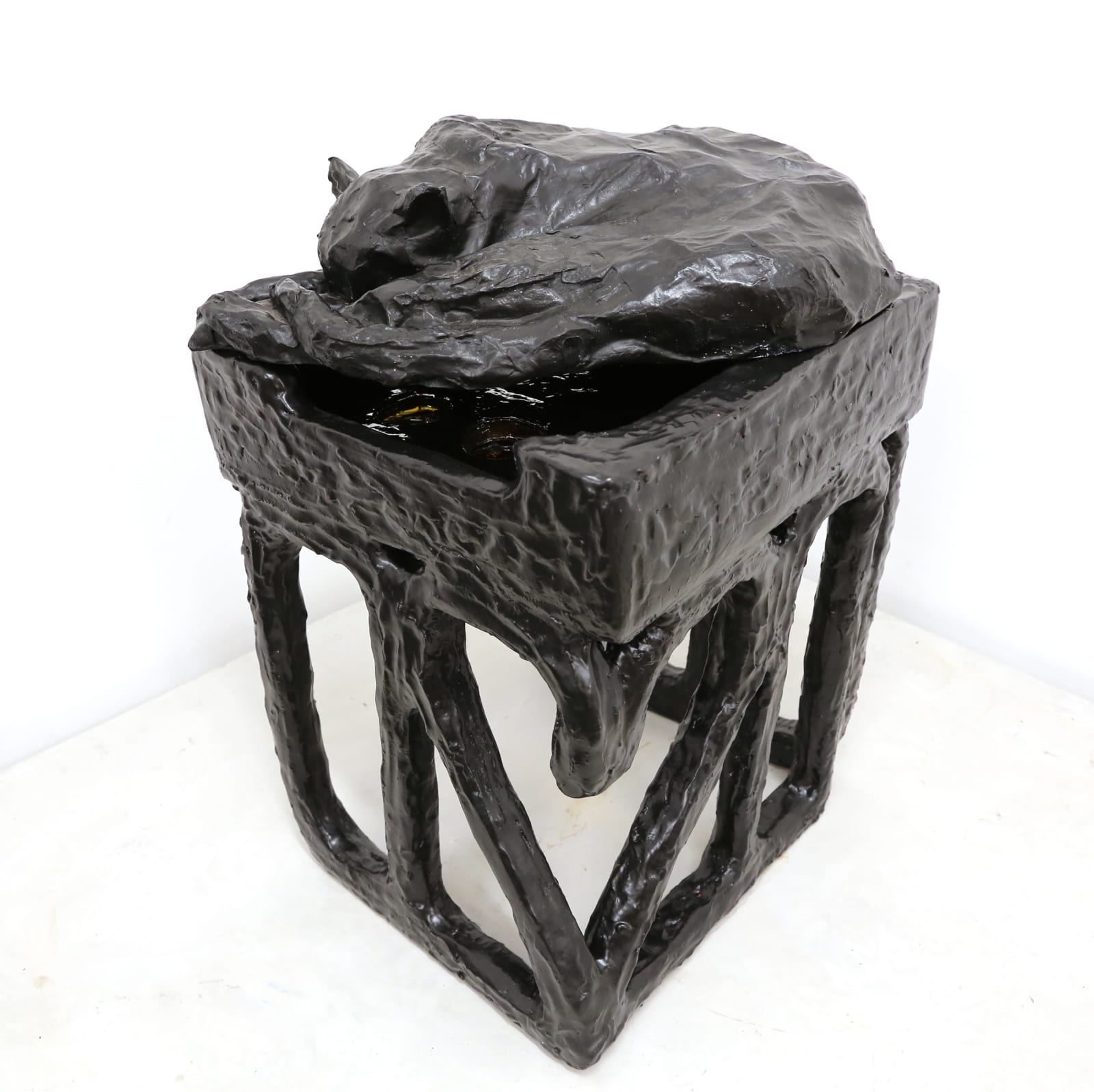 Sahar Khoury, Untitled (Sleeping black cat, Pearl on 2020), 2020