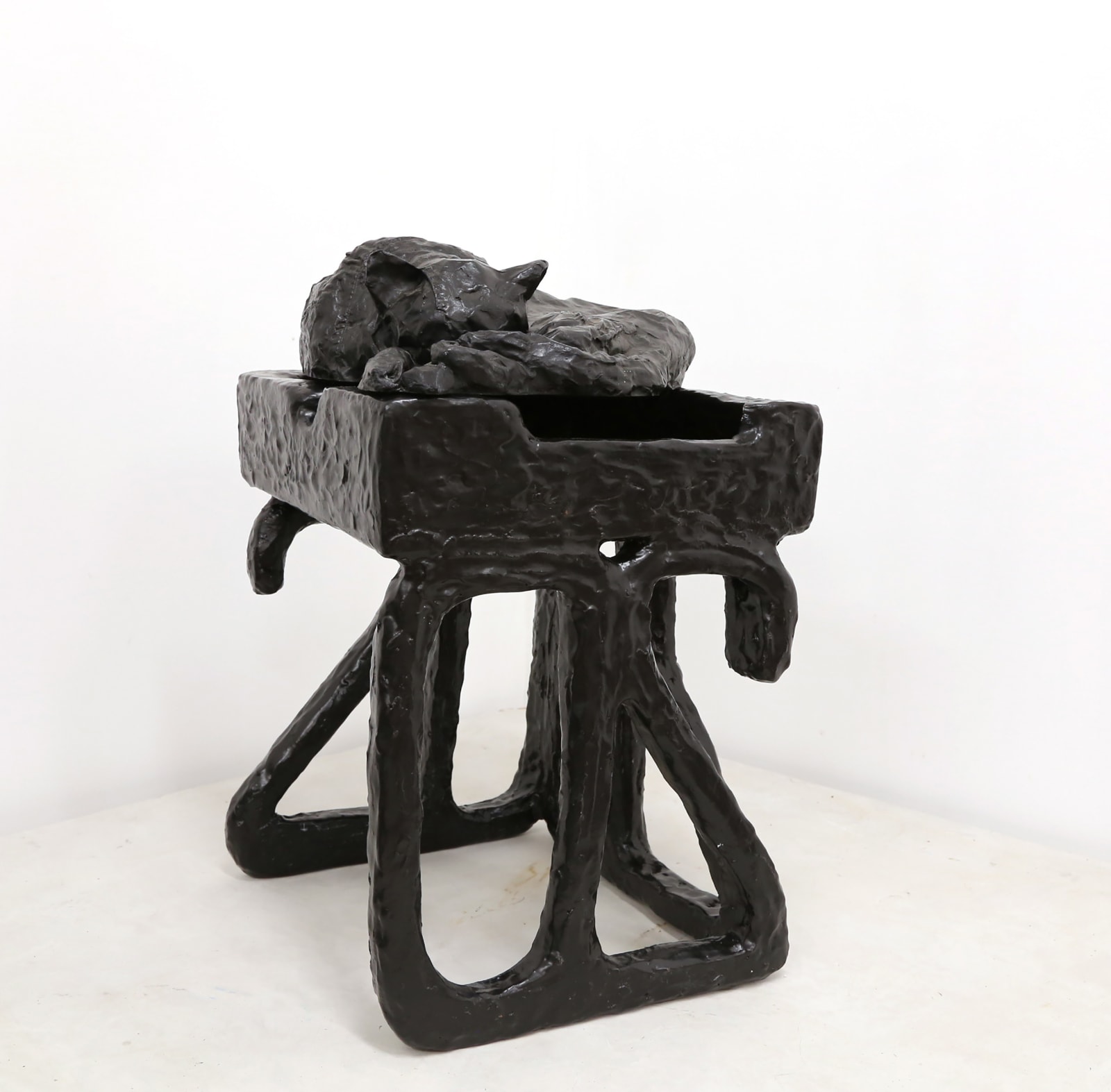 Sahar Khoury, Untitled (Sleeping black cat, Pearl on 2020), 2020