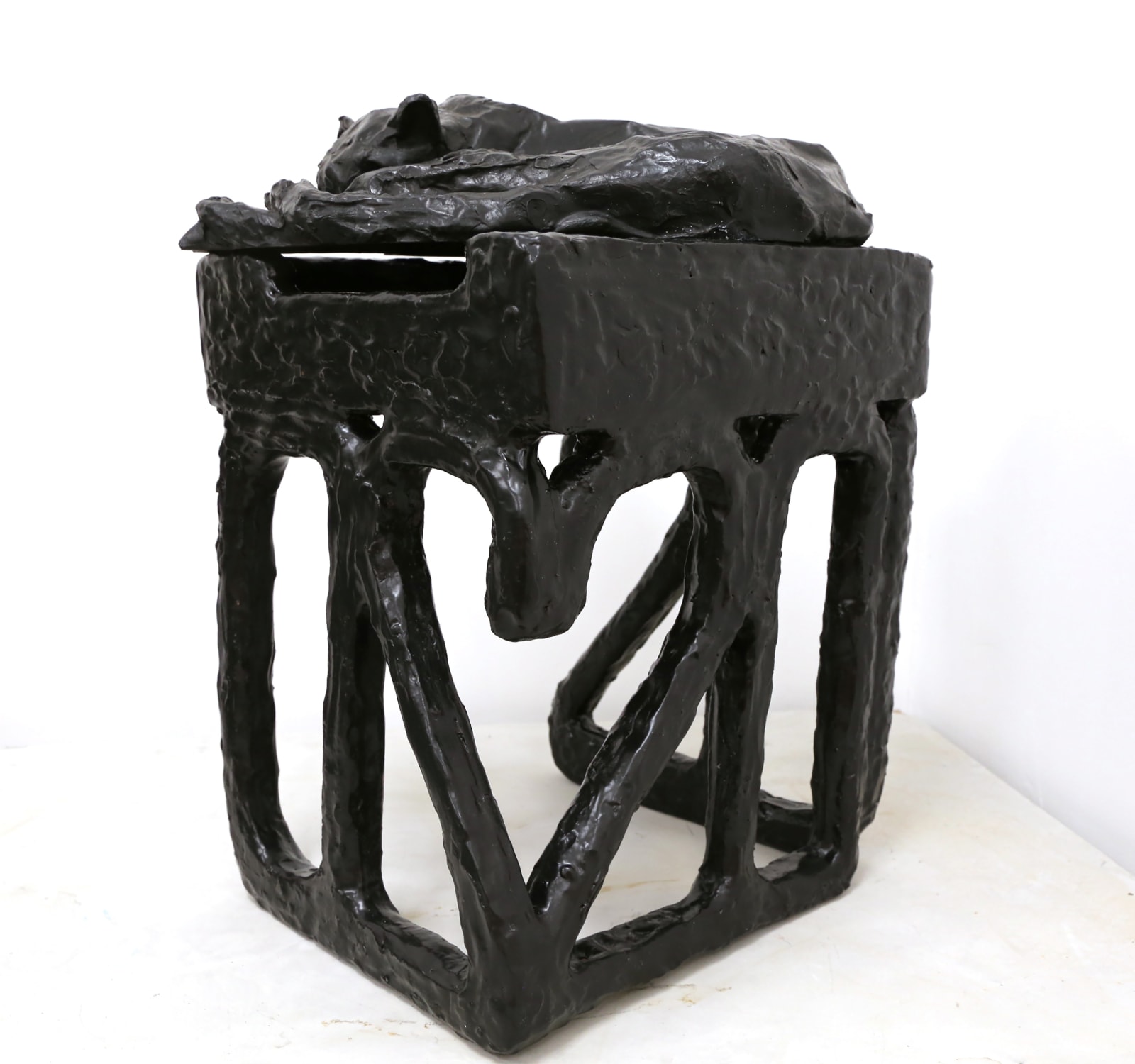 Sahar Khoury, Untitled (Sleeping black cat, Pearl on 2020), 2020