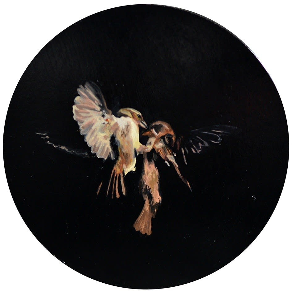 Datsun Tran, Lovers, 2013