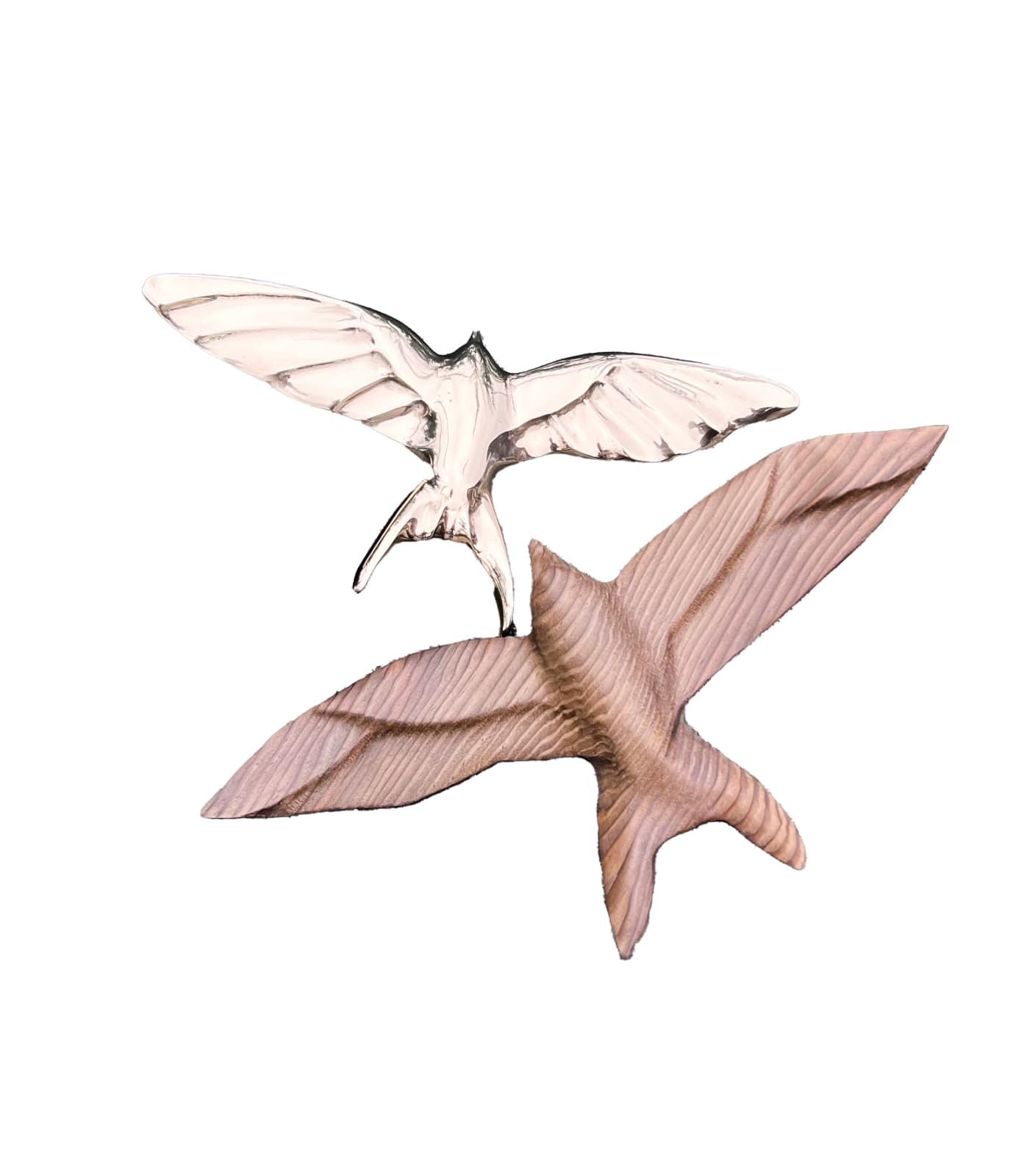 Andrew Vallee, Ancient Swallow, 2023
